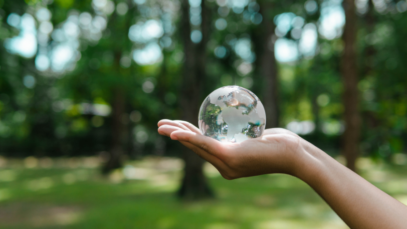 A economia verde ganha força e transforma os rumos do desenvolvimento global. Fernando Trabach Filho